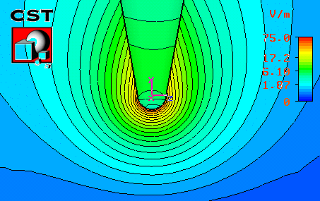 図3：電界強度 1V/m の平面波照射によるチップ近傍界の電界：チップの軸に沿った偏波