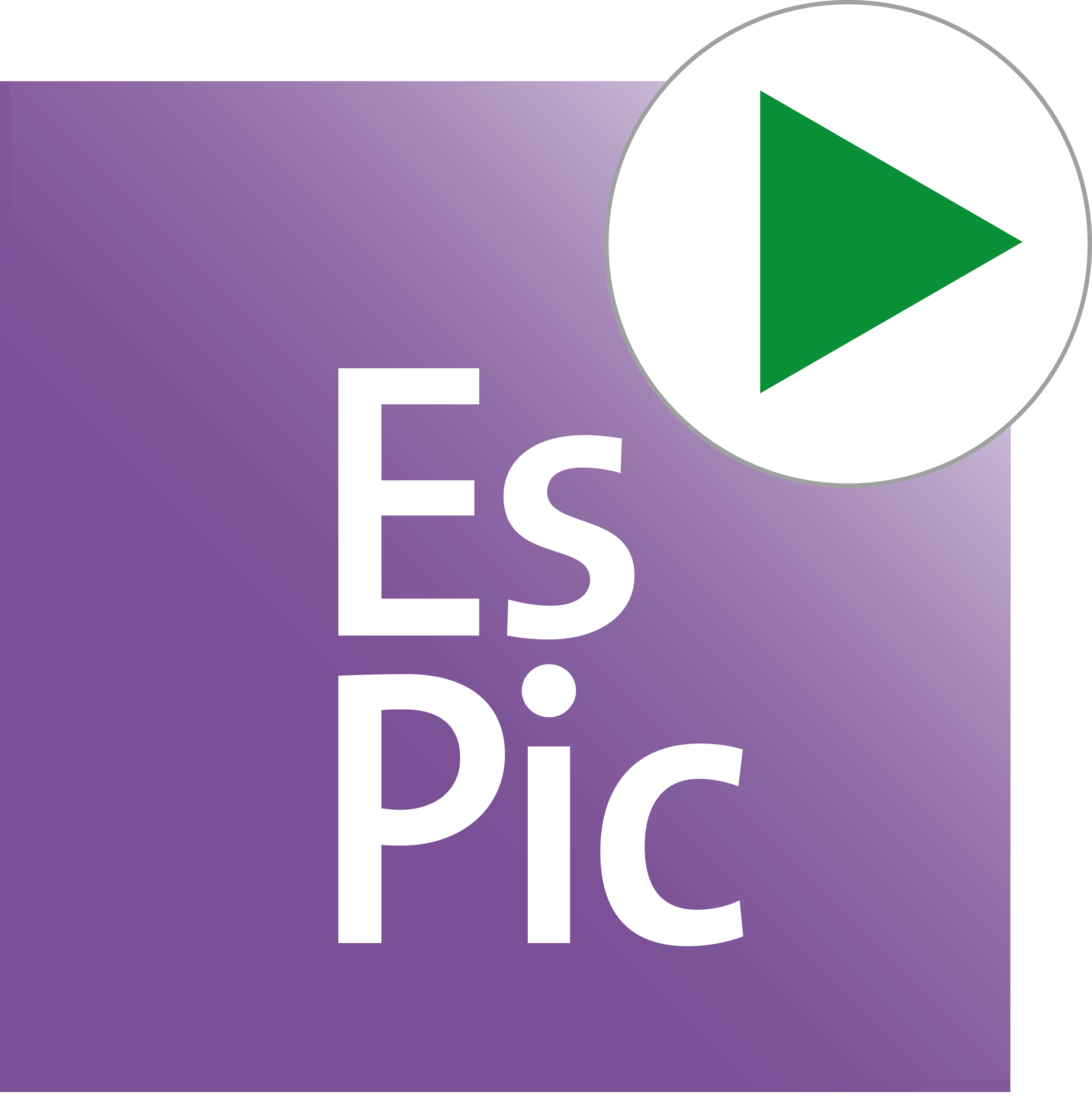 Electrostatic PIC Solver（Es-PICソルバー）