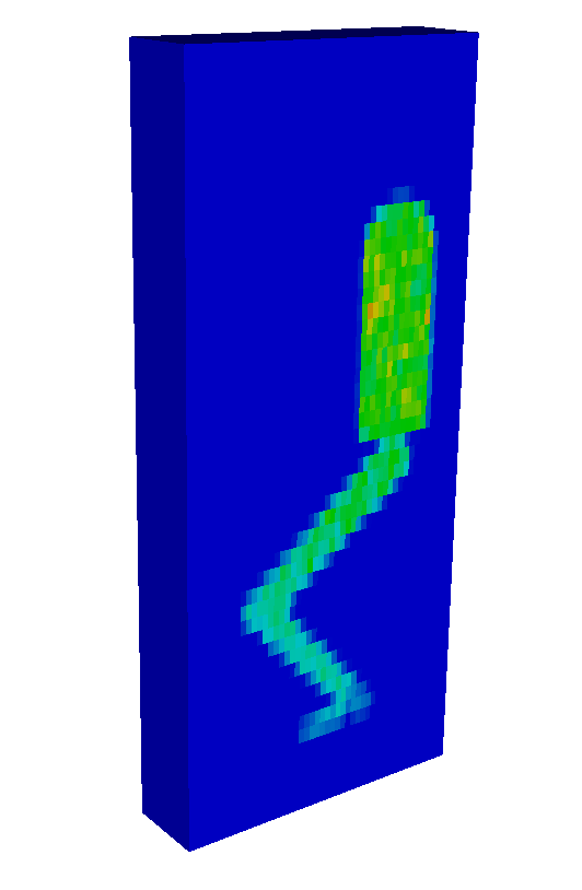 RSim