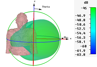 図7：CST Laura voxelモデルとアンテナの3D放射分布